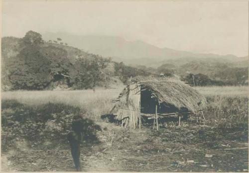 Philippines Negrito homes at Colassi