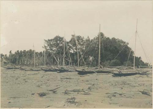 Sail boats with outriggers