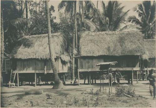 Tingian houses with hen houses in foreground, dogs in background