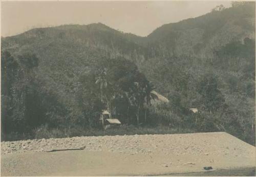 Small Tingian settlement with cultivated fields