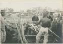 Visayan men cleaning hemp