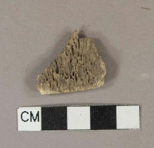 Animal bone fragment, likely butchered