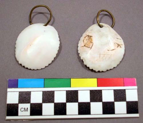 Pair of shell earrings