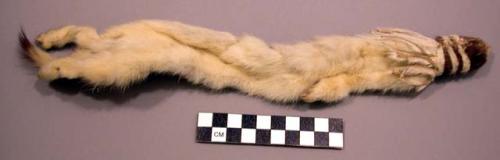 Complete ermine skin. Most of head wrapped w/ a dark fur. Strips of fur