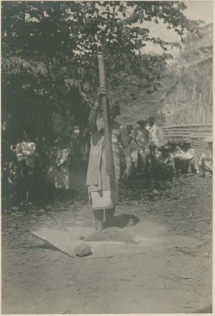 Tinguian women threshing rice