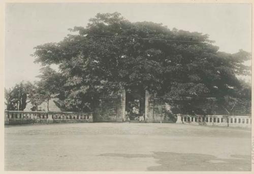 Entrance to Paco Cemetery