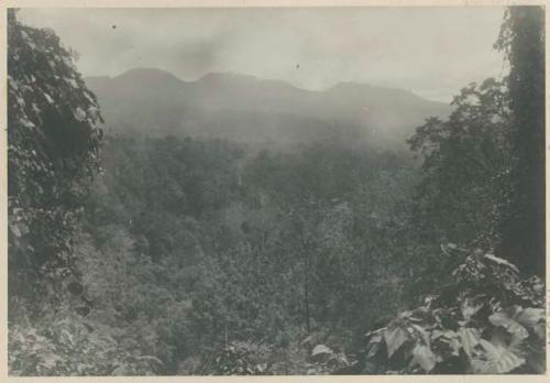 Forest between Malaban and Lake Lanao