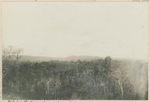 Partially cleared forest land, Western Negros