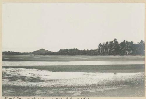 West coast, Island of Palawan