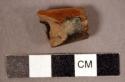 Fragment clay pipe