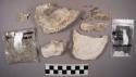 2 oyster shells; 6 unnumbered shell fragments; 1 handful of fish bones, brick fr