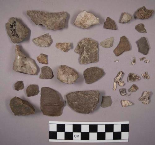 12 pieces bone; 117 pieces stone chips; 28 pieces quartz