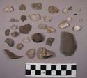 Approx. 15 pieces bone; 80 pieces stone chips; 70 pieces quartz; 2 possible arti