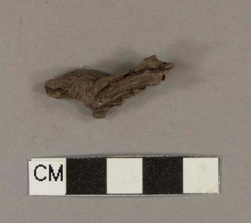 Root fragment