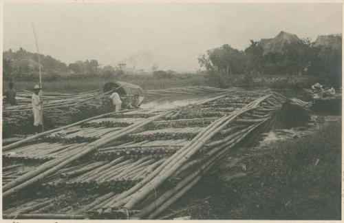 Bamboo rafts in esteros