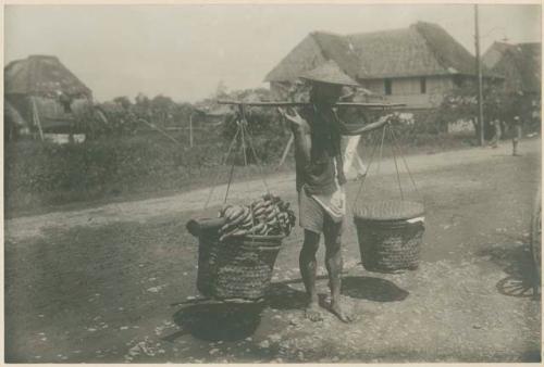 Chinese man transporting fruit with pinga