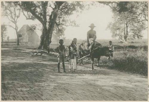 Man using carabao dragging bamboo into Manila, with group of children