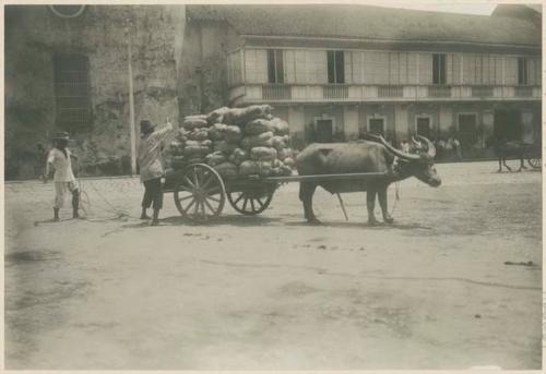 Two men with carabao cart loaded with sugar