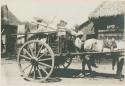 Man with caretela loaded with rubbish