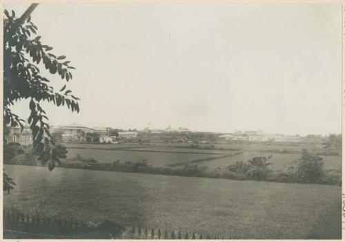 Zacate or grass fields, outskirts of Manila