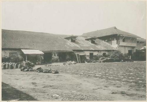 Sugar drying in sun