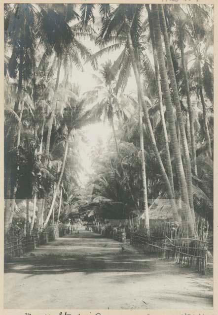 Street in Cuyo