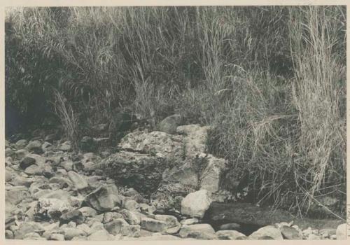 Tavis outcrop, Antimok River, Benguet