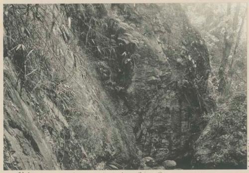 Outcrop of Kelly's lode, Gold River Benguet