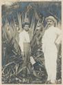 Men with plants of Philippine maguey, Tablas