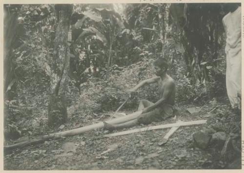 Man removing fiber strip from Manila hemp