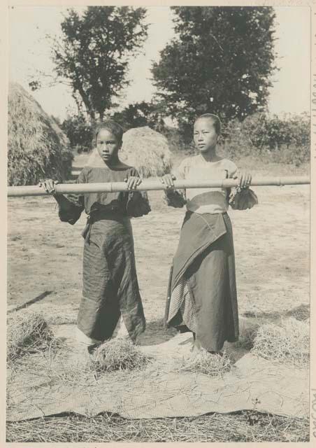 Girls threshing rice on woven mat