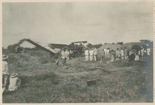 Rice threshing outfit, Government Rice Farm