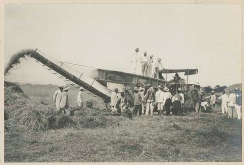 Rice threshing outfit, Government Rice Farm