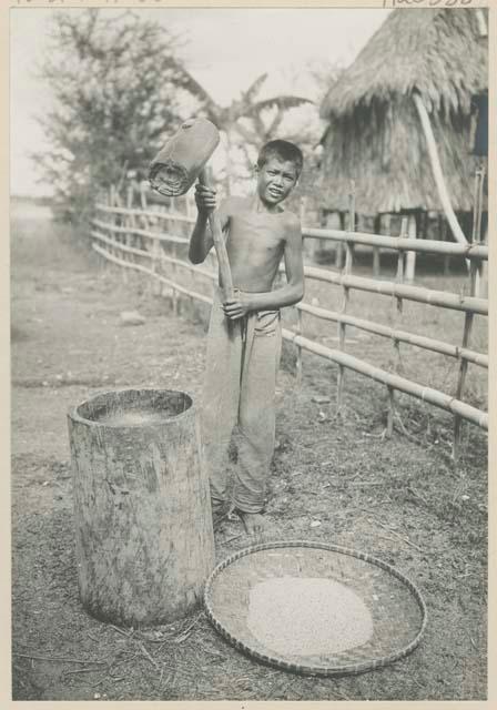 Man pounding rice in mortar