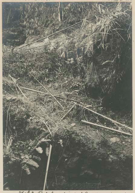 Bed of ore (iron), Hison mine, Bulacan