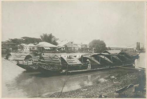 Cascoes below Suspension bridge