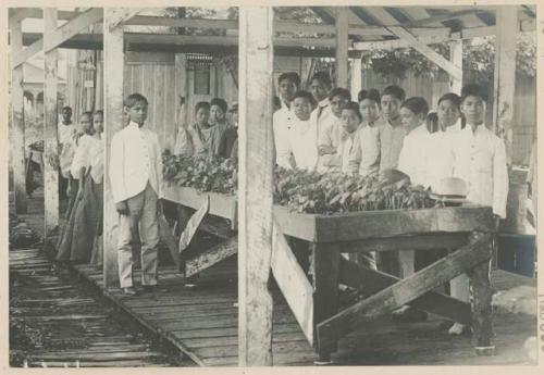 Boys beginning work in agriculture, normal school