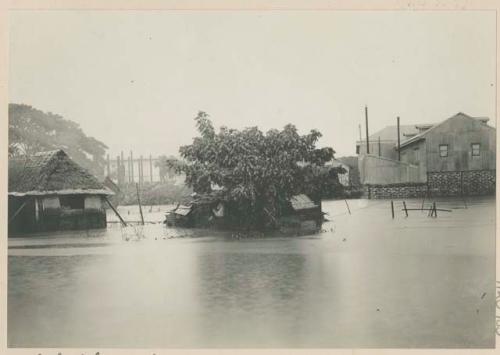 Flooded street after typhoon