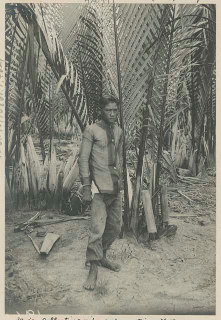 Man collecting nipa sap