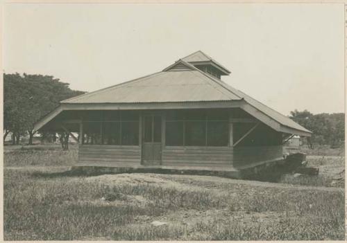 Horse stable for serum horses