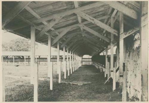 Old stable for serum cattle at San Lasaro