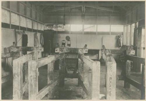 Operating stall for serum cattle