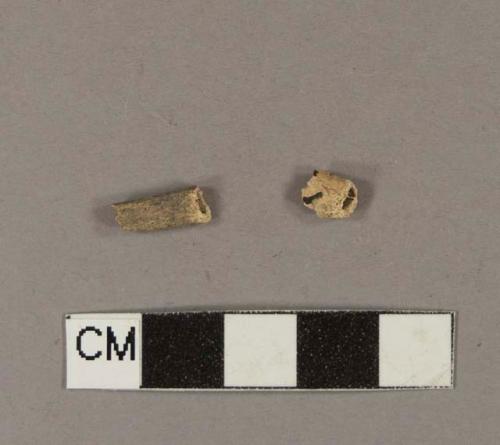 Animal bone fragments; two fragments crossmend