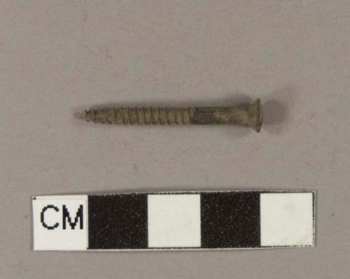 Metal screw
