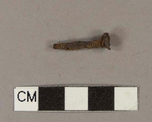 Iron screw fragment