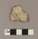 Styrofoam fragment