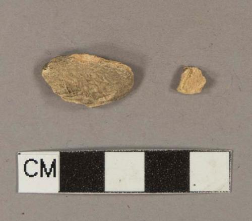 Animal bone fragments; two fragments crossmend