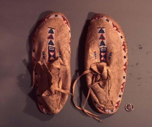 Moccasin