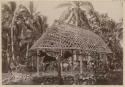 Wooden structure with lattice roof