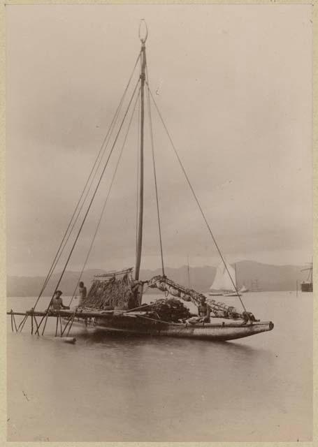 Canoe with house on deck